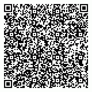 vCard 79807231319