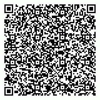 vCard 79807231320