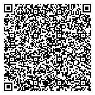 vCard 79807231330