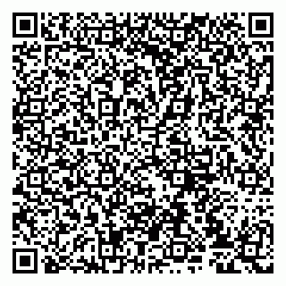 vCard 79807231334