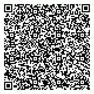 vCard 79807231380