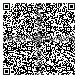 vCard 79807231381