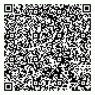 vCard 79807231384