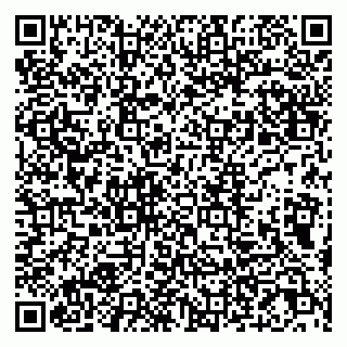 vCard 79807231679