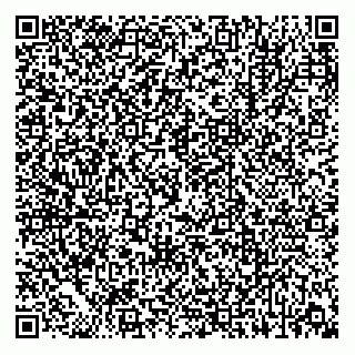 vCard 79807231700