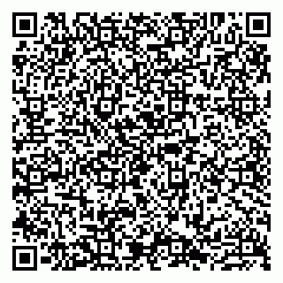 vCard 79807231729