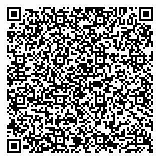 vCard 79807231739