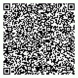vCard 79807231873