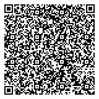 vCard 79807232087