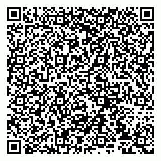 vCard 79807232173