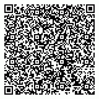 vCard 79807232387