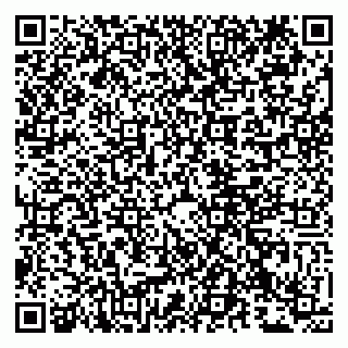 vCard 79807232900