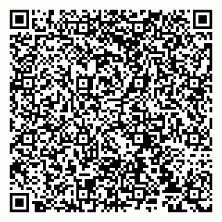 vCard 79807232931