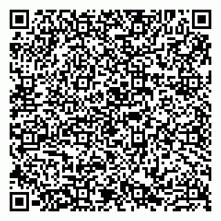vCard 79807232987