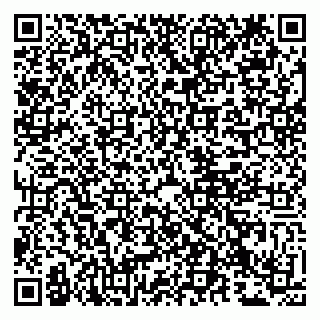 vCard 79807233008