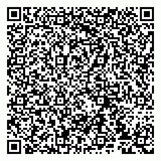 vCard 79807233009
