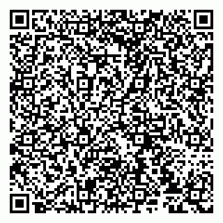 vCard 79807233031