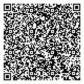 vCard 79807233085