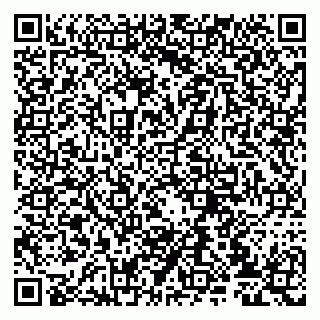 vCard 79807233087
