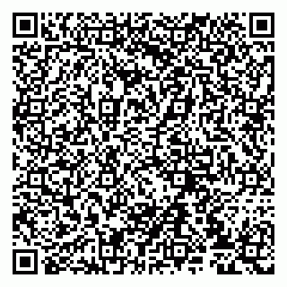 vCard 79807233088