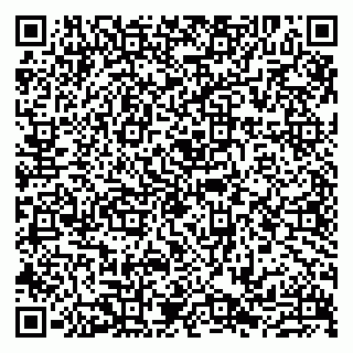 vCard 79807233089