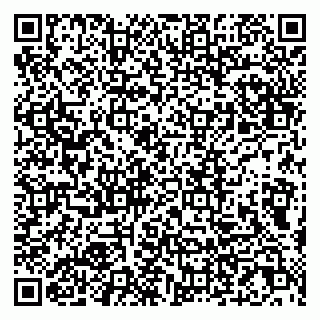 vCard 79807233093
