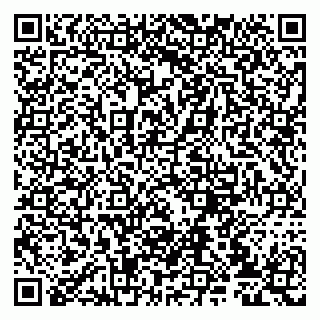 vCard 79807233187