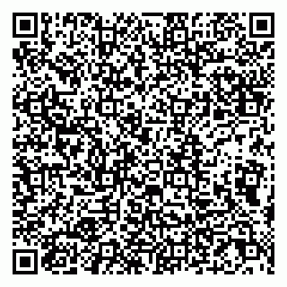 vCard 79807233203