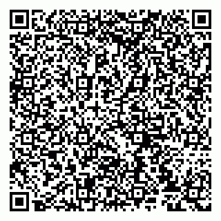 vCard 79807233211