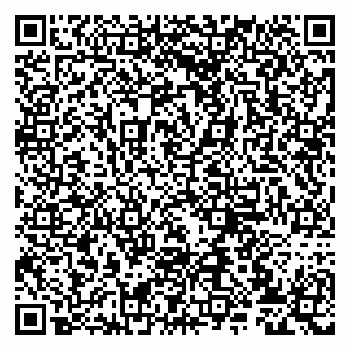 vCard 79807233217