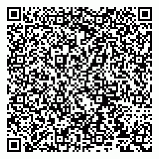vCard 79807233238