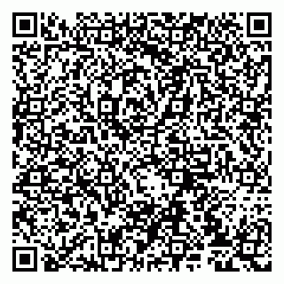 vCard 79807233240