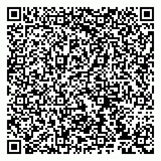 vCard 79807233250