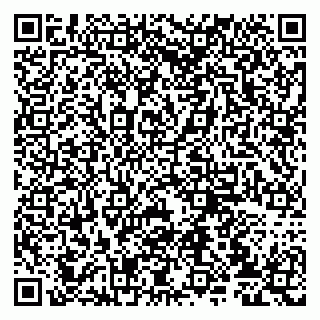 vCard 79807233279