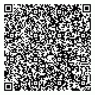vCard 79807233280