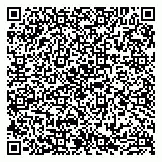 vCard 79807233281