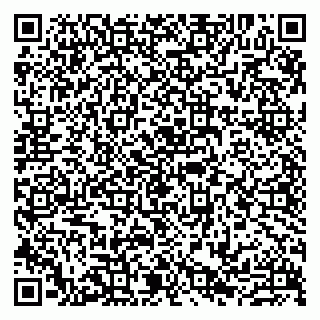 vCard 79807233285