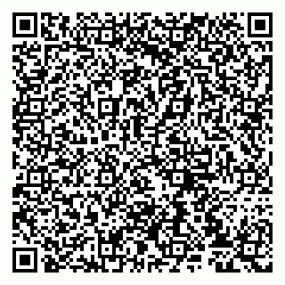 vCard 79807233289