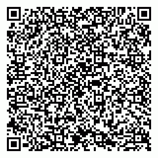 vCard 79807233301