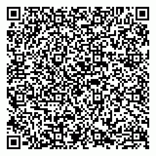 vCard 79807233307