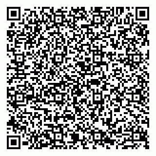 vCard 79807233381