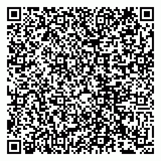 vCard 79807233387