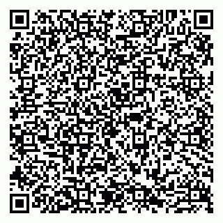 vCard 79807233389