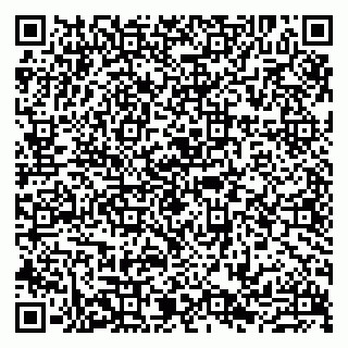 vCard 79807233408