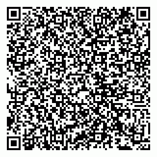 vCard 79807233409
