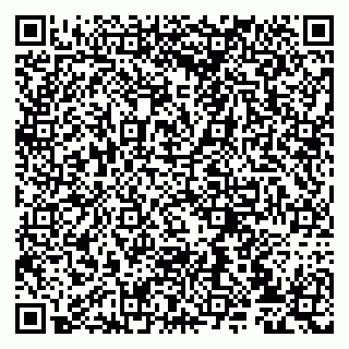vCard 79807233413
