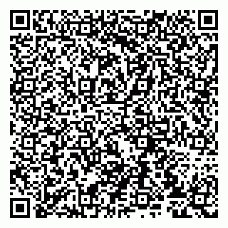 vCard 79807233479