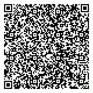 vCard 79807233498
