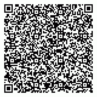 vCard 79807233503
