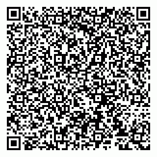 vCard 79807233517